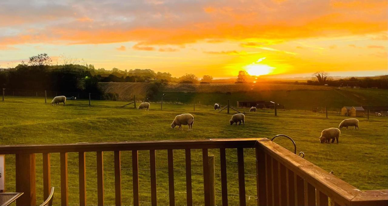 Fairview Farm Holiday Accommodation 14 Luxury Lodges, Cabins, Dog Friendly, Suitable For Couples, Families And Groups, Wedding Guests , Corporate Events, Sleeps 2-65 Guests In Ravenshead, Nottingham Near Sherwood Forest, Set In 88 Acres 外观 照片