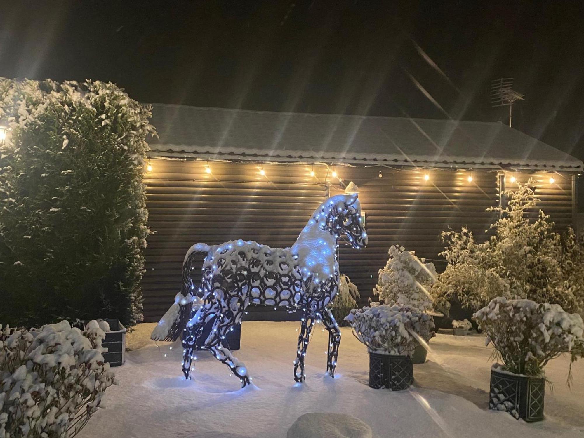 Fairview Farm Holiday Accommodation 14 Luxury Lodges, Cabins, Dog Friendly, Suitable For Couples, Families And Groups, Wedding Guests , Corporate Events, Sleeps 2-65 Guests In Ravenshead, Nottingham Near Sherwood Forest, Set In 88 Acres 外观 照片