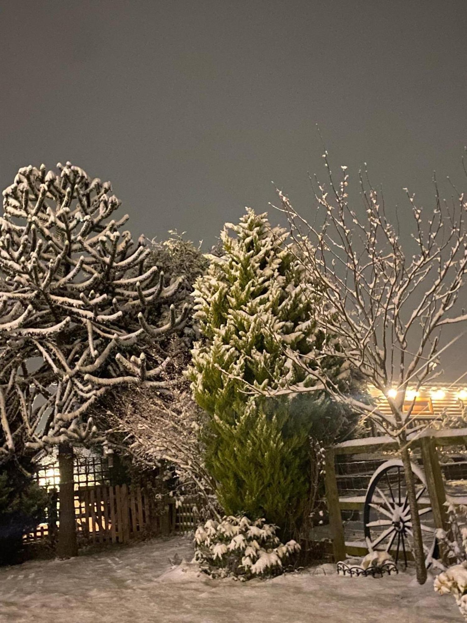 Fairview Farm Holiday Accommodation 14 Luxury Lodges, Cabins, Dog Friendly, Suitable For Couples, Families And Groups, Wedding Guests , Corporate Events, Sleeps 2-65 Guests In Ravenshead, Nottingham Near Sherwood Forest, Set In 88 Acres 外观 照片